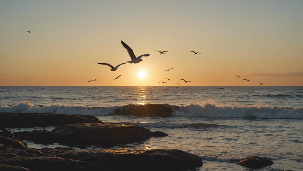 Why Do Seagulls Live by the Sea?